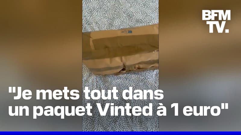 des voyageurs utilisent vinted pour contourner les tarifs des compagnies aériennes concernant les bagages