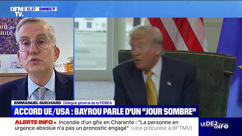 droits de douane: "l'accord n'est pas bon pour les industries cosmétiques françaises", déplore le délégué général de la fédération des entreprises de la beauté