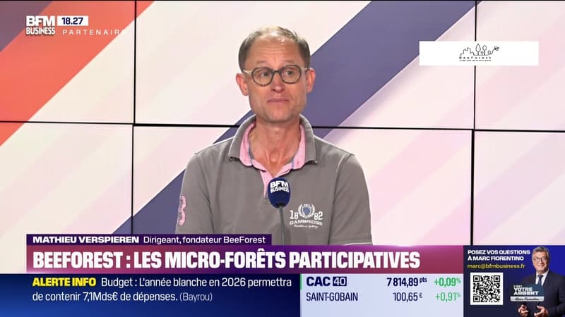 mathieu verspieren (beeforest) : beeforest, les micro forêts participatives – 15/07