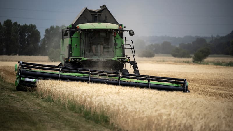 "nous nous battrons pour chaque euro": la france appelle à ne pas "diluer" les aides de la politique agricole commune